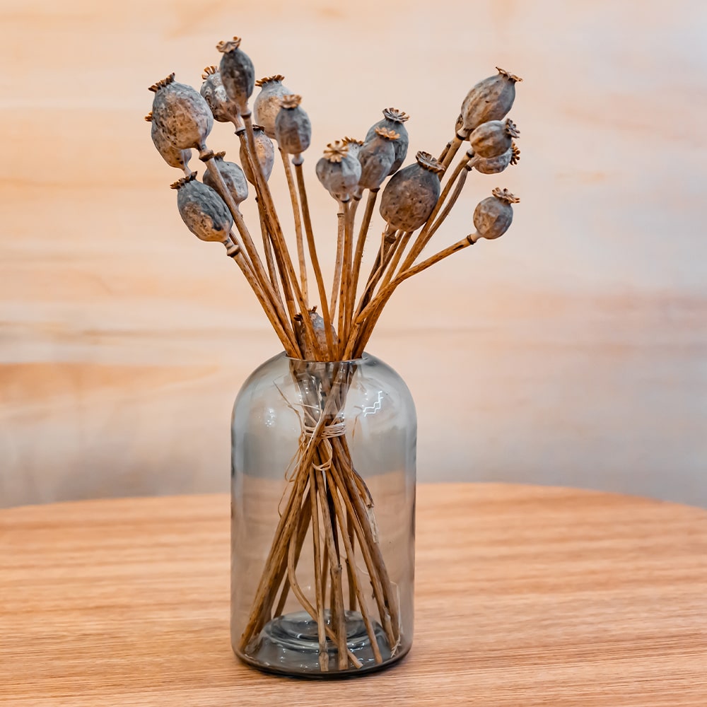 Decorative Dried Poppy