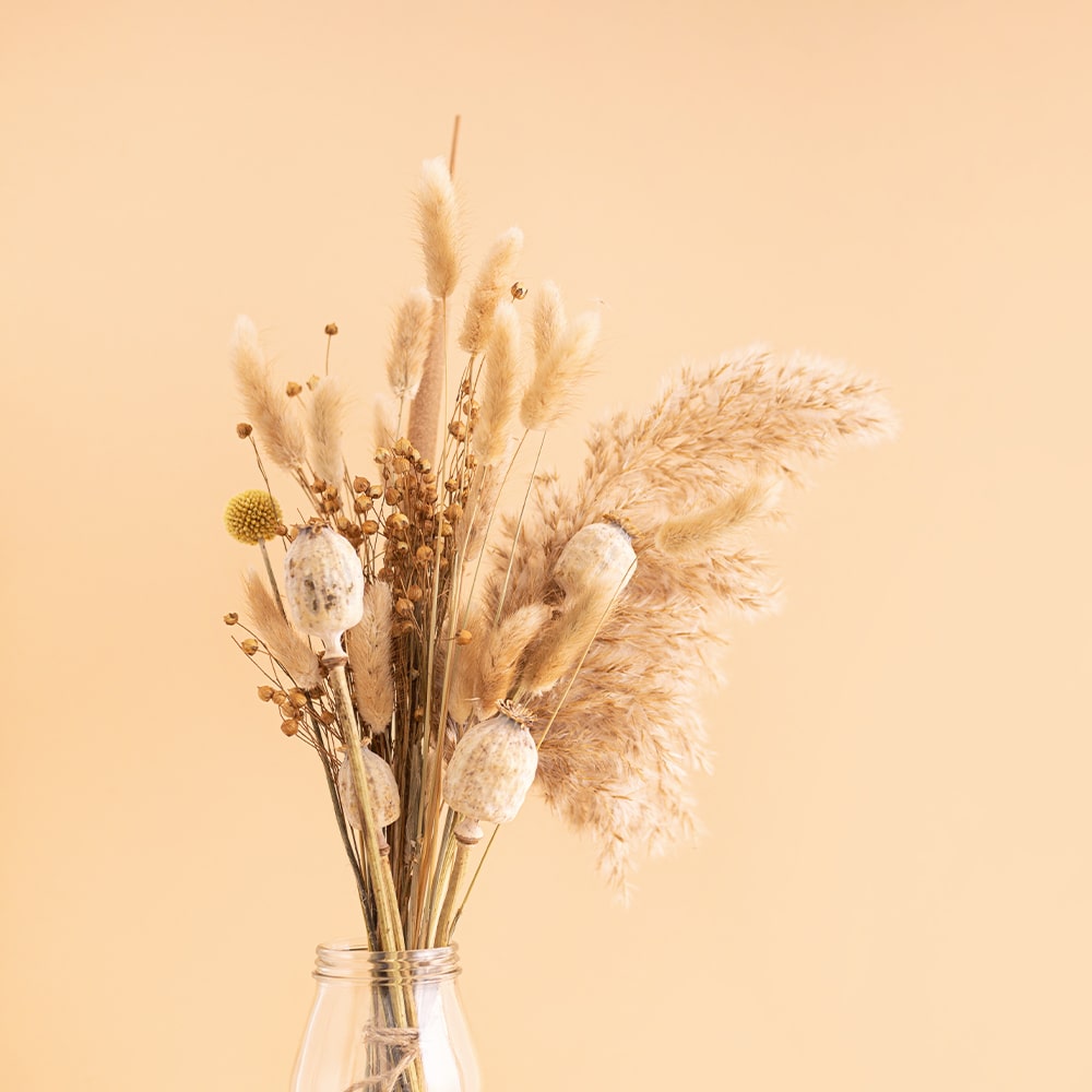 Decorative Dried Flowers